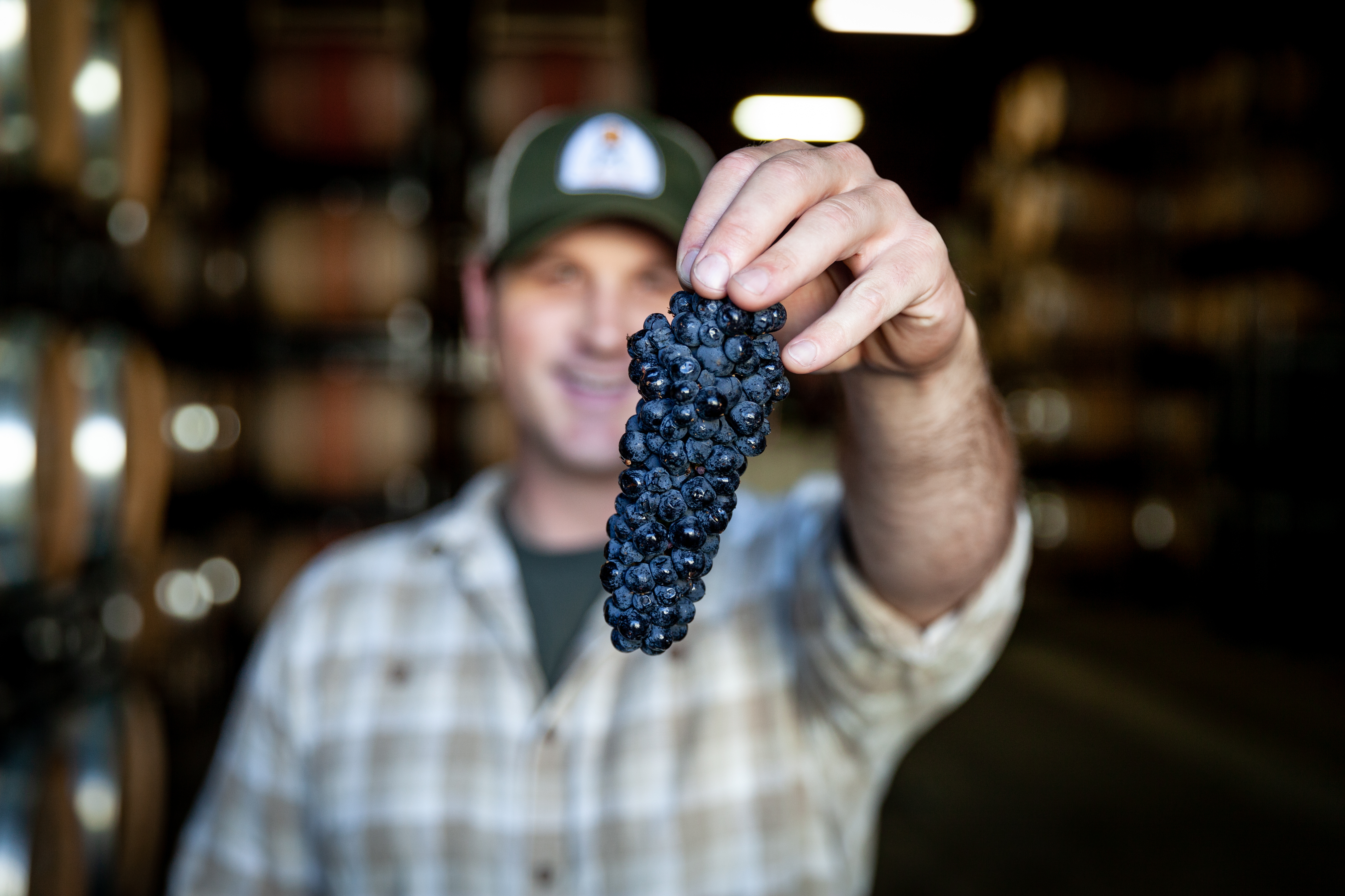 Harvest 2021 Wrap Up: A Napa and Russian River Valley Vintage for the Record Books